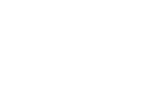Loop1 Logo White